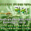 곡우(穀 雨) 이미지