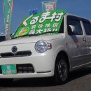 미라모터스 이미지