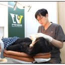 우아인성형외과의원 | 강남 코 성형외과, 자연스러운 코를 지향합니다.