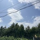 슬로우캣 | 13개월 아기랑 여행 | 슬로우캣 제주도 애월 숙소 추천