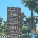 디얼제주