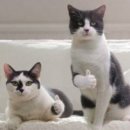 신림역 6번출구 앞 이미지