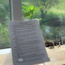 제주 동쪽 숲길 남원 가볼 만한 곳 한남리머체왓숲길 머체왓 족욕카페 후기