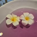 쉼빌딩 | 창원 상남동 마사지의 모든 것, 더쉼테라피앤마사지 후기