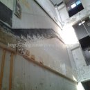 김지호치과의원 이미지