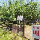 이재형농장 이미지