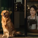 (주)콘텐츠 디벨로퍼 | [멍기자] 반려동물 순천 펫카페 매출 올리는 법 총정리 꿀팁