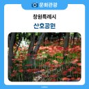 산호동531 이미지