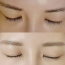 미감 | 잠실 속눈썹 펌 c컬 마이미감 내돈내산 후기