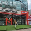 광주강아지분양 고양이분양 미유펫 본점 이미지