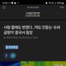 사람 몸에도 번졌다…약도 안듣는 &#39;슈퍼 곰팡이&#39; 중국서 등장 이미지