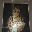 꽃신 구절초 이미지