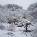충북 단양 대규모 토지 급매, 대지·전·답·임야·도로 포함 이미지