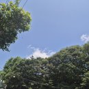 [강의후기] 사회정서 보드게임지도사과정 기질강의(ft.행보아)