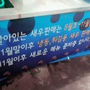 둔덕왕새우