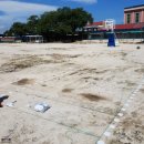 지족초등학교 이미지