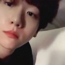 낙낙 이미지