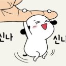 아나파 이미지