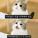 제이블룸 이미지