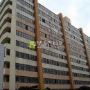 봉선중앙로 이미지