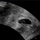 세상의반여성의원 이미지