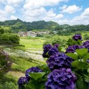 자연풍경 이미지