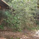 청도부동산공인중개사사무소 이미지