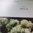 말발도리(아토피.피부염.심한가려움 )효능 이미지