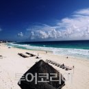 에메랄드 이미지
