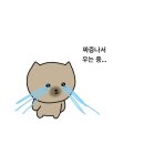 대오상사 | [공연/생각글] &#39;죽음&#39;에 대한 트리거와 불호 사이