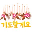 [연중 11 주간 목요일] 열매를 맺는 기도 / 반영억 라파엘 신부님 이미지