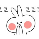 다비치안경 신제주 한라대점 이미지