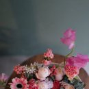 스타일바스켓(Style basket)