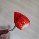 [가락시장] 딸기네유통 - 설향 딸기 구매해서 맛나게 먹은 후기