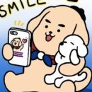 강이랑 아지랑 이미지