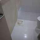 성산마을 | 용인시 기흥구 중동 성산마을 신영지웰아파트 욕실 실리콘작업 후기