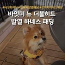 히트셀러 | 강아지발열패딩 바잇미 뉴더블히트패딩 착용 후기, 외출 준비 3초면 끝! 🐶