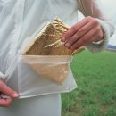 포켓하우스 이미지