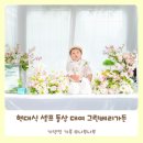 베리블라썸펜션 | 현대식 셀프 돌상 대여 그린베리가든 체리블라섬 프리미엄 후기