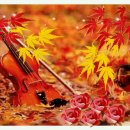 사랑이 머무는 둥지 이미지