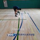 서울노일초등학교 이미지