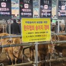 한우 이미지