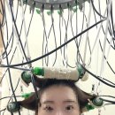 이철헤어커커수완점 이미지