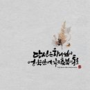 사랑의 뜰안 이미지