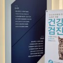 SK건강센터 | [일리동물의료센터] 수원 광교 동물병원 강아지 슬개골 검사 후기