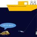 갑오징어 낚시 후기 및 조과 향상을 위한 꿀팁 (10월 9일, 15일 킹마린호, feat.벨렘나이트환)