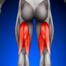 마스터 와이짐 이미지