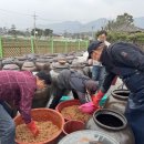 장이익어가는마을 이미지