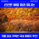 모터스향교점 | 담양 메타쉐쿼이아숲길 개구리생태공원 메타프로방스 전주향교 전주수목원 서울석파정 온빛자연휴양림