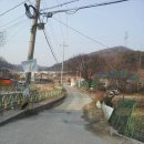 양지11리 이미지